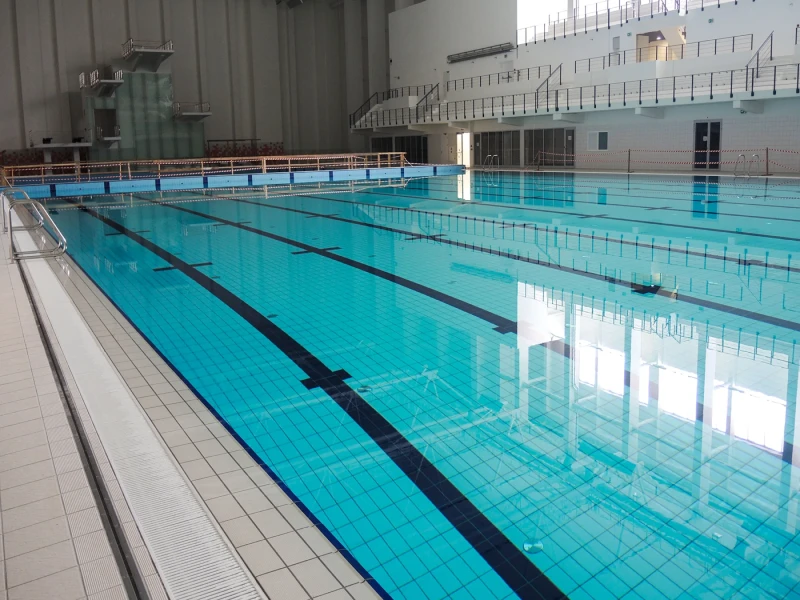 Sremski Sport Olimpik Havuz Projesi