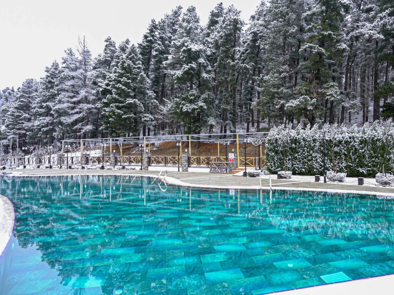 Elite World Sapanca Hotel Havuzu Projesi